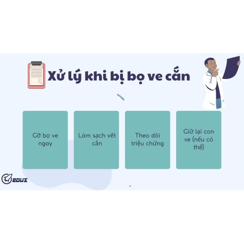 4. Xử lý khi bị bọ ve cắn